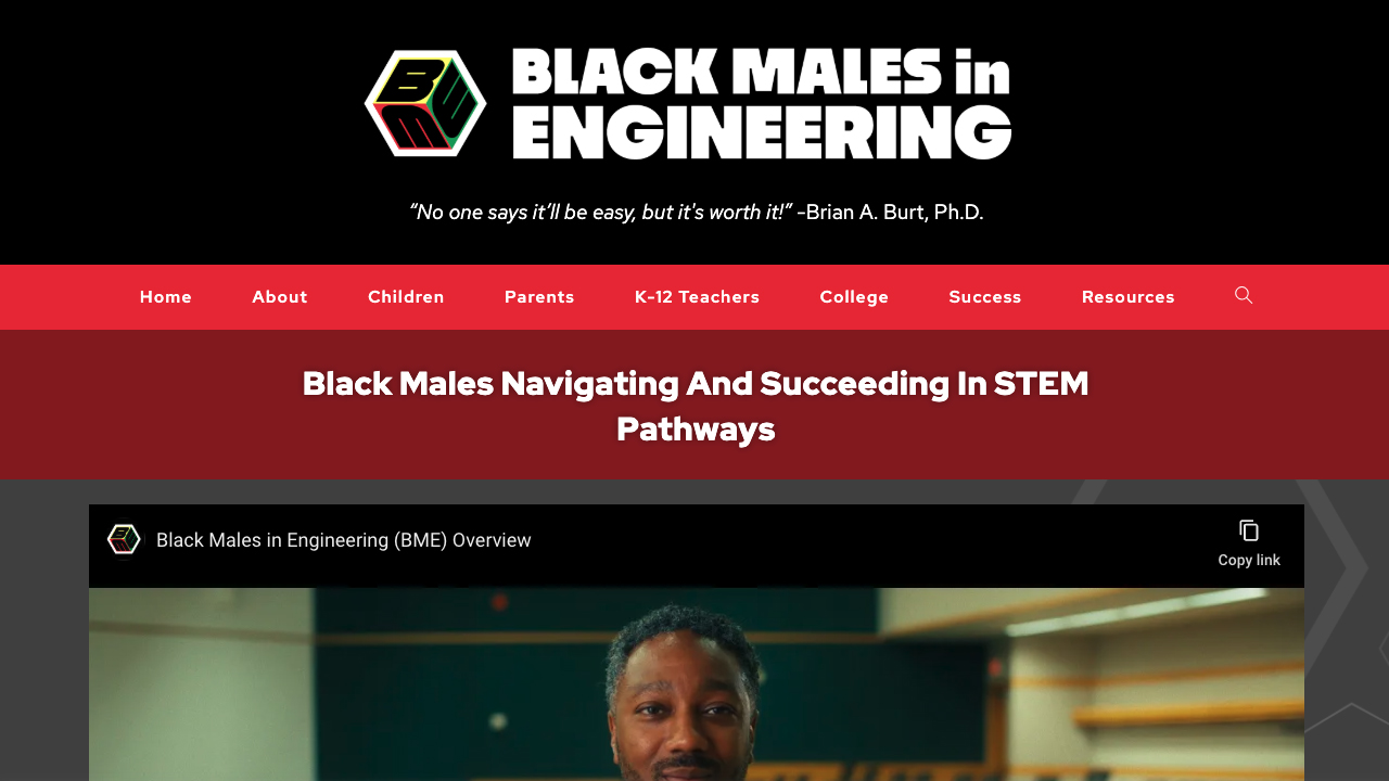 Black Males in Engineering by Source TEN