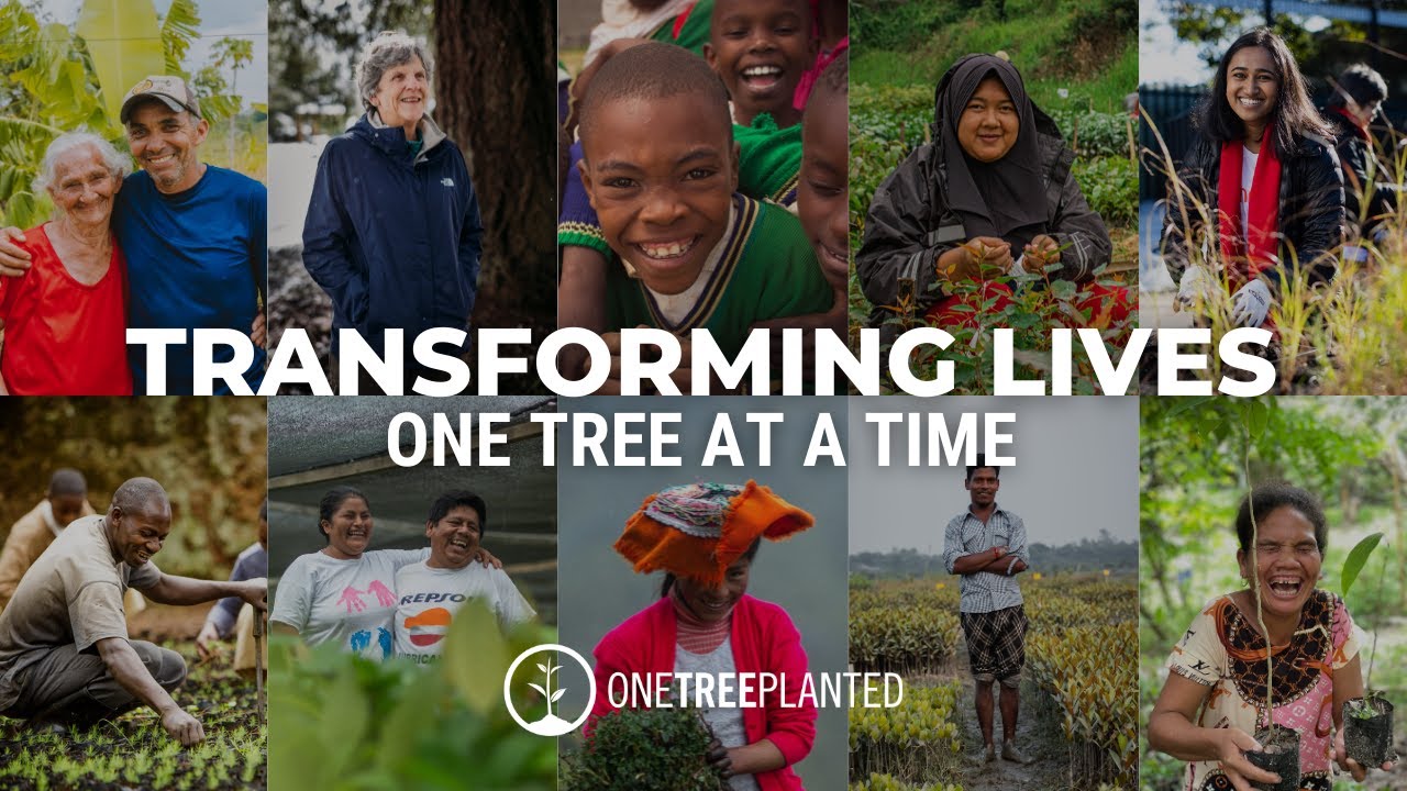 Global Restoration: Human Transformation by One Tree Planted