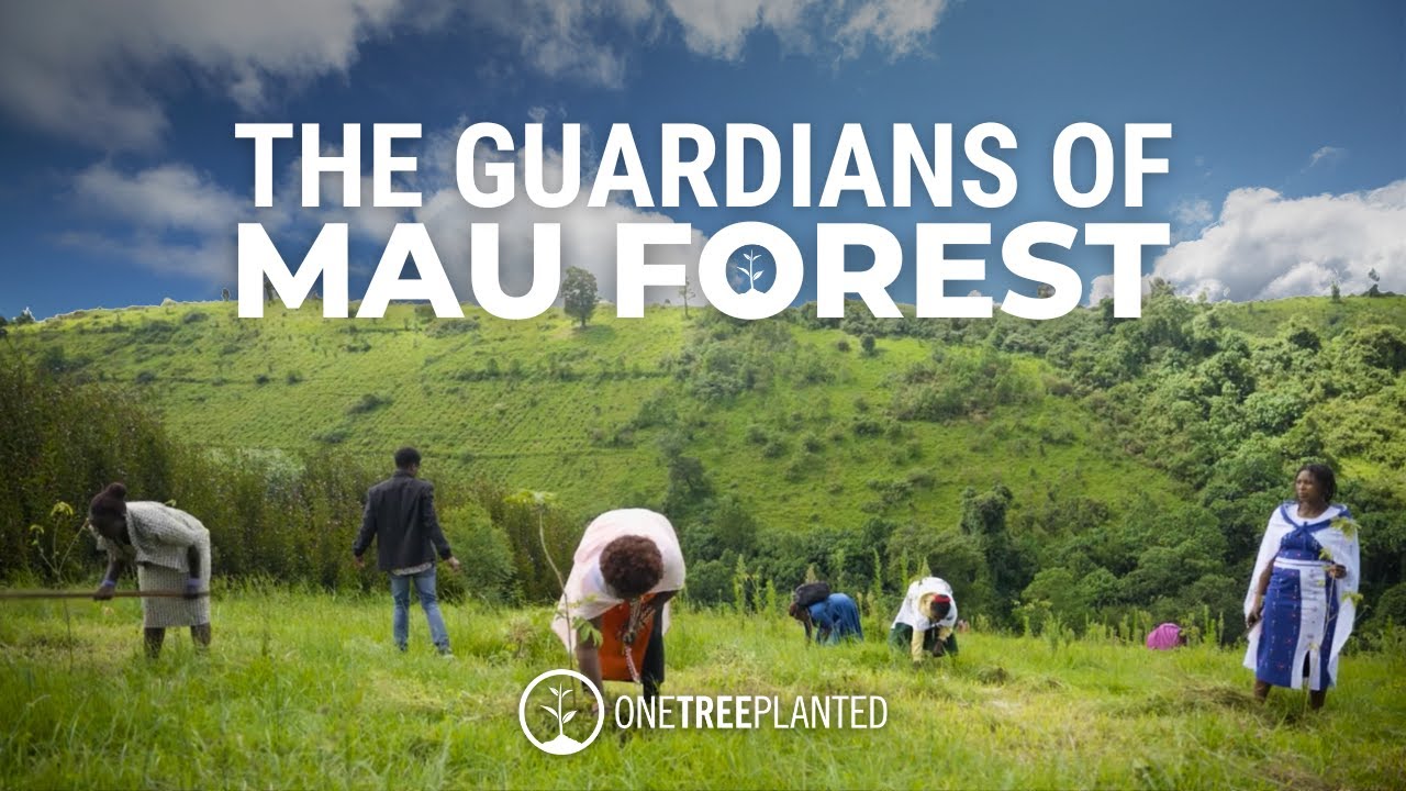 Guardians of Mau Forest by One Tree Planted