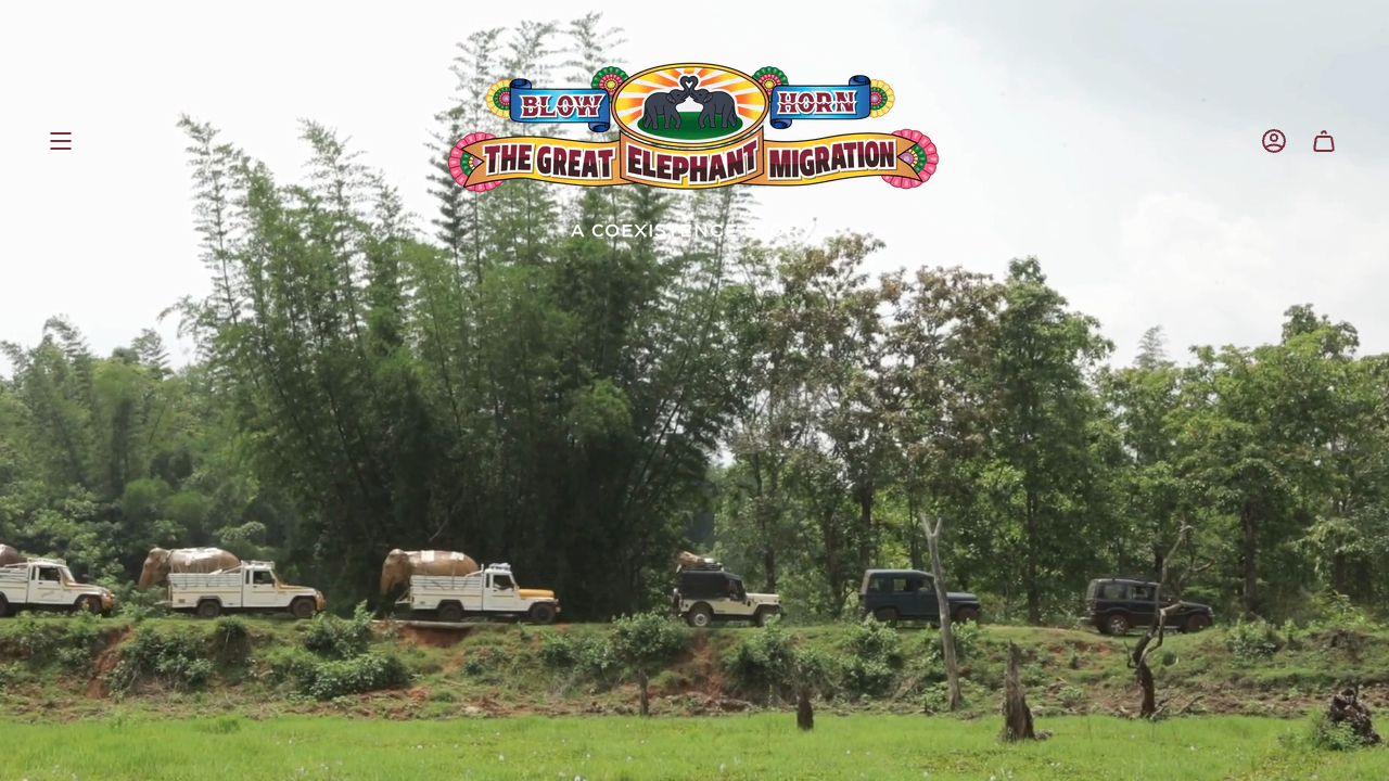 The Great Elephant Migration by Elephant Family USA