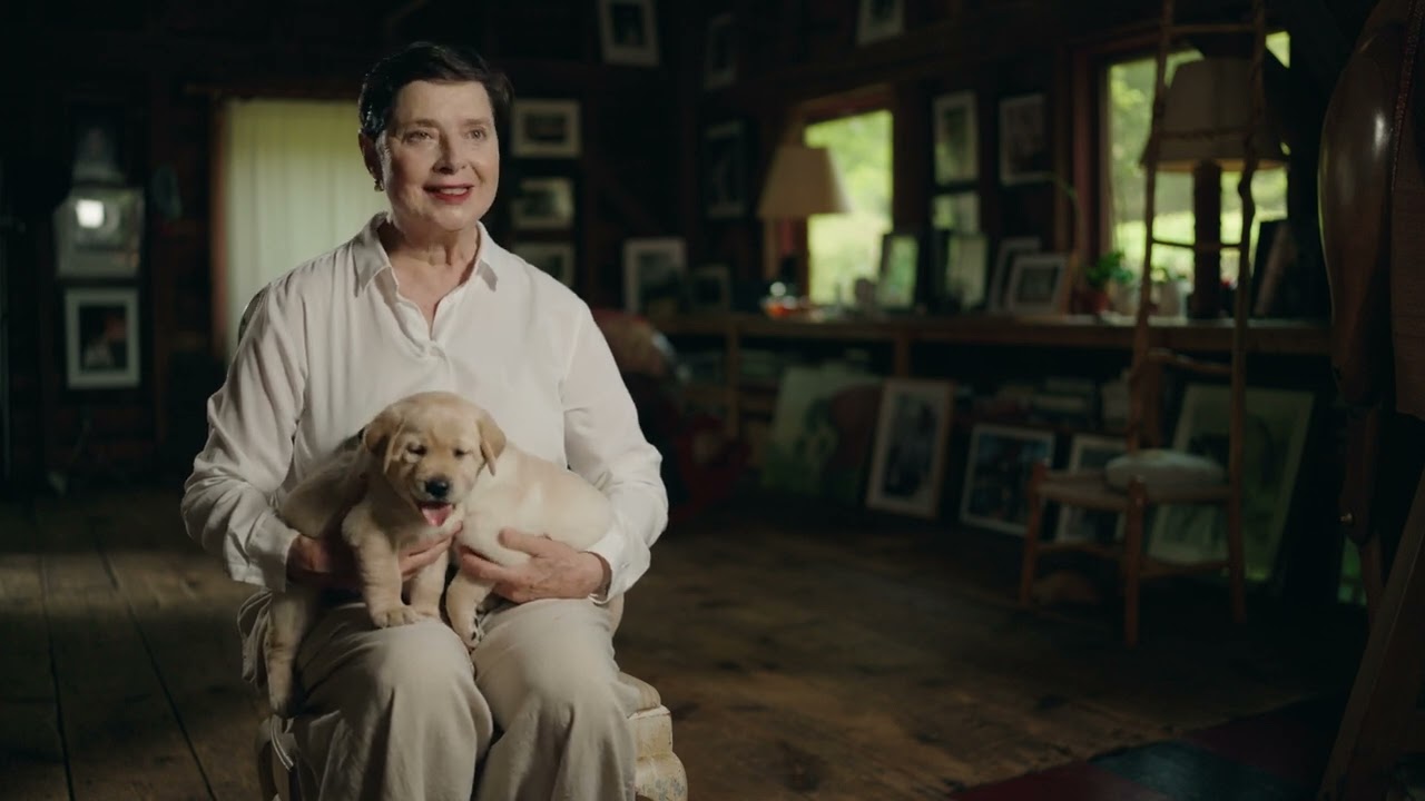 Isabella Rossellini for the Guide Dog Foundation by Guide Dog Foundation