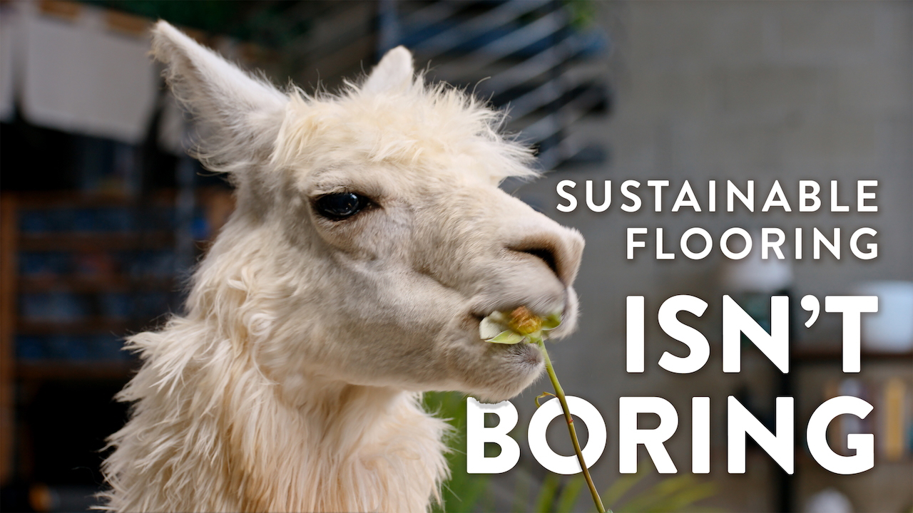 Sustainable Flooring Isn't Boring by Curtis Birch inc.