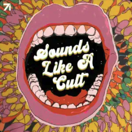 Sounds Like A Cult by The Word Factory LLC