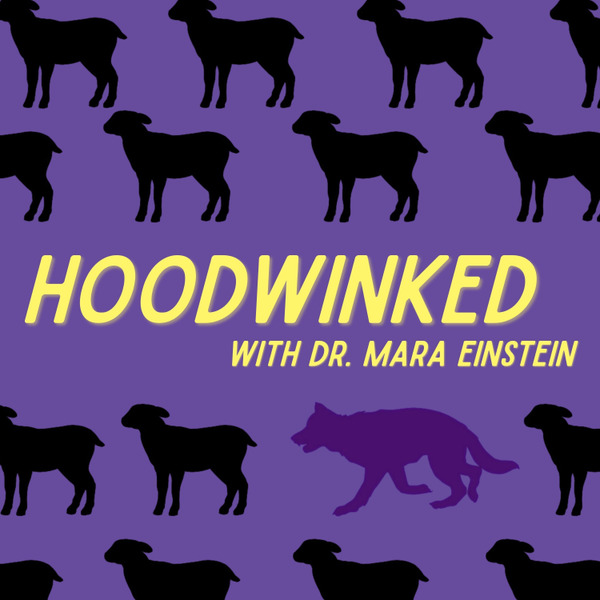 Hoodwinked with Dr. Mara Einstein by Independent Author/Expert/Speaker