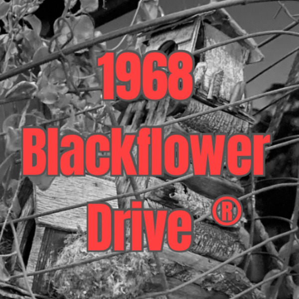 1968 Blackflower Drive by Pryzsons Break Productions