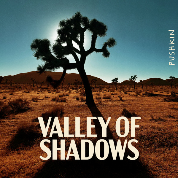 Valley of Shadows by Pushkin Industries