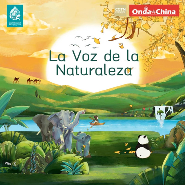 24 Horas de Sinfonía Entre la Montaña y el Mar (24 Hours of Symphony Between the Mountain and the Sea) by China Global Television Network (CGTN)