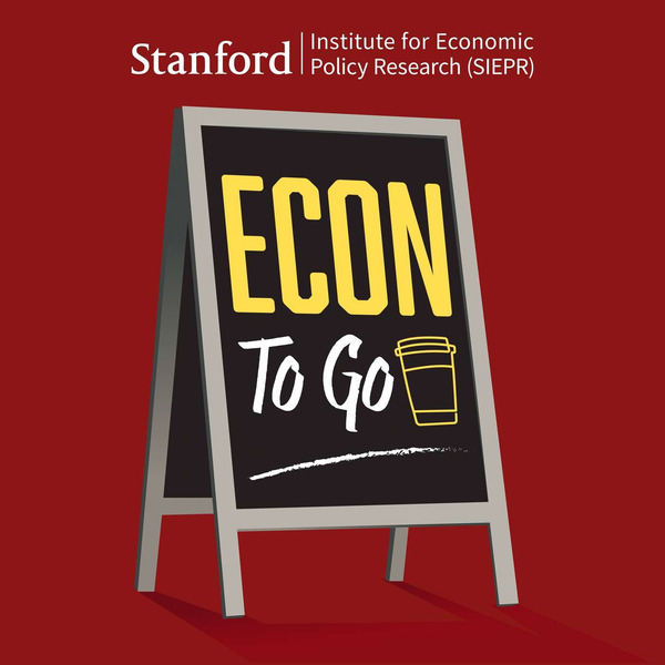 Econ To Go by Lower Street