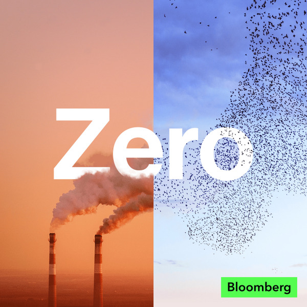 Zero by Bloomberg