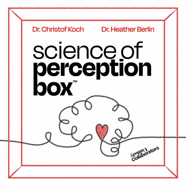 Science of Perception Box by Unlikely Collaborators