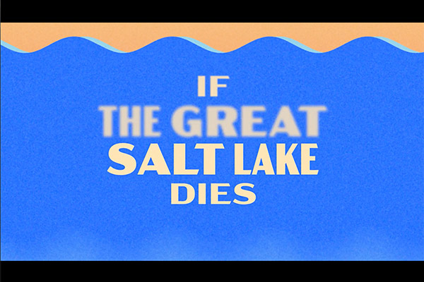 Save the Great Salt Lake by Struck