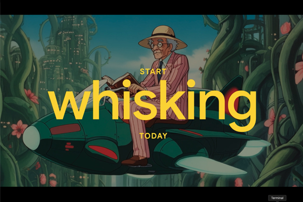 Whisk by Hook