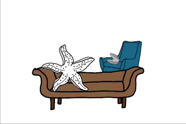 Crustacean Counseling with Dr. Anita Clam by Gal Pal