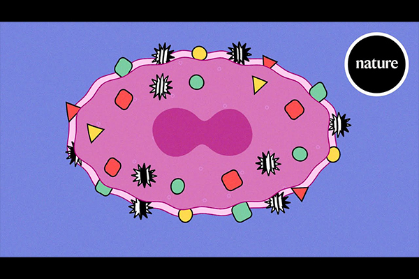 Cancer-busting vaccines are coming: here's how they work by Nature