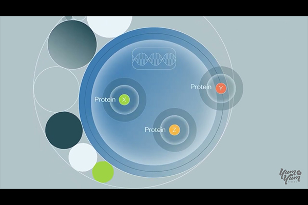BPS Bioscience Explainer Video by Yum Yum Videos