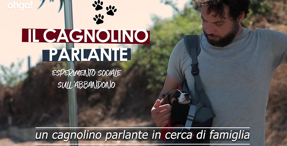Screenshot of the entry for Il cagnolino parlante: i bambini ci insegnano ad ascoltare con il cuore