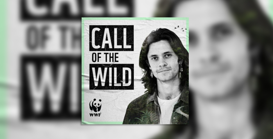 Screenshot of the entry for Call Of The Wild