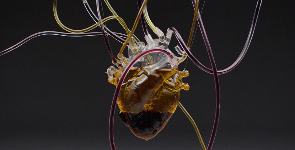 Screenshot of the entry for Human and Machine