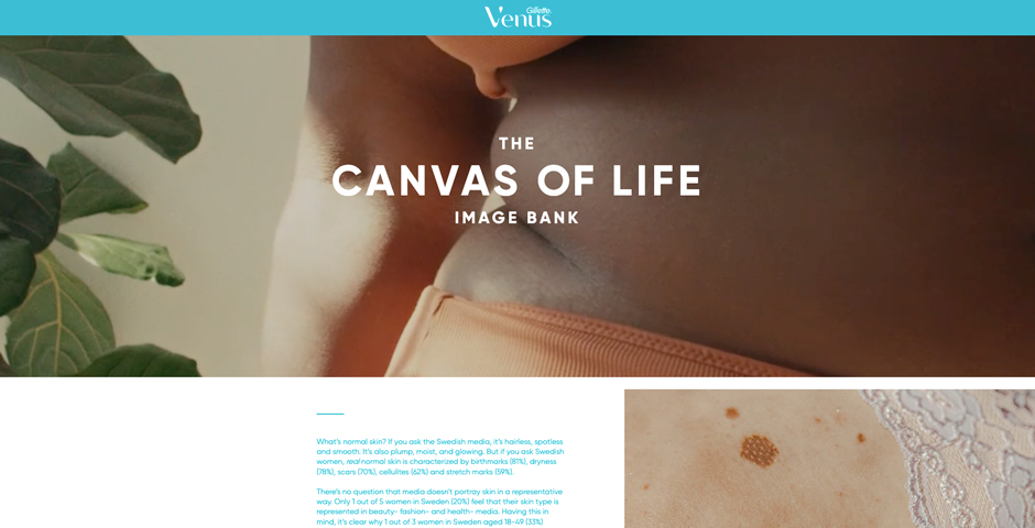 Screenshot of the entry for Canvas of Life