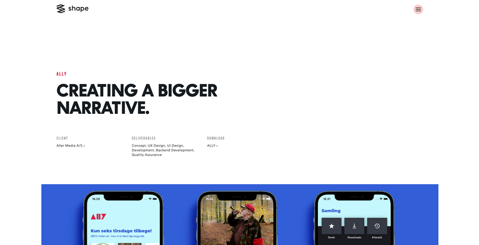 Screenshot of the entry for ALLY - Creating a Bigger Narrative