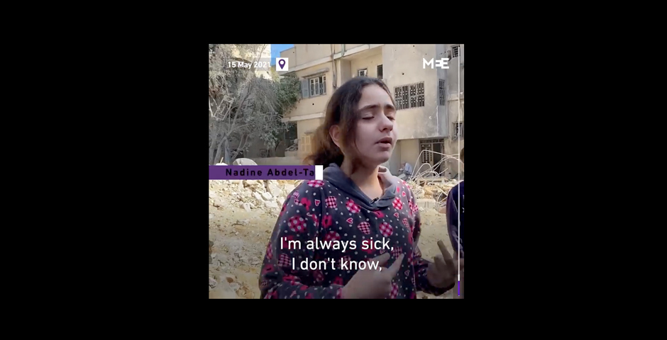 Screenshot of the entry for A 10-year-old Palestinian girl breaks down while talking to MEE