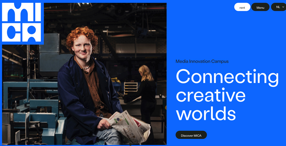 Screenshot of the entry for MICA