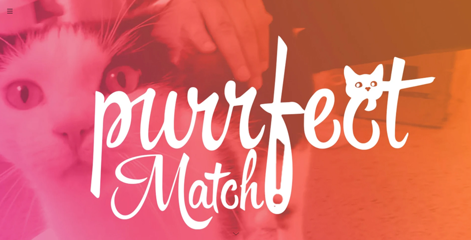 Screenshot of the entry for Purrfect Match