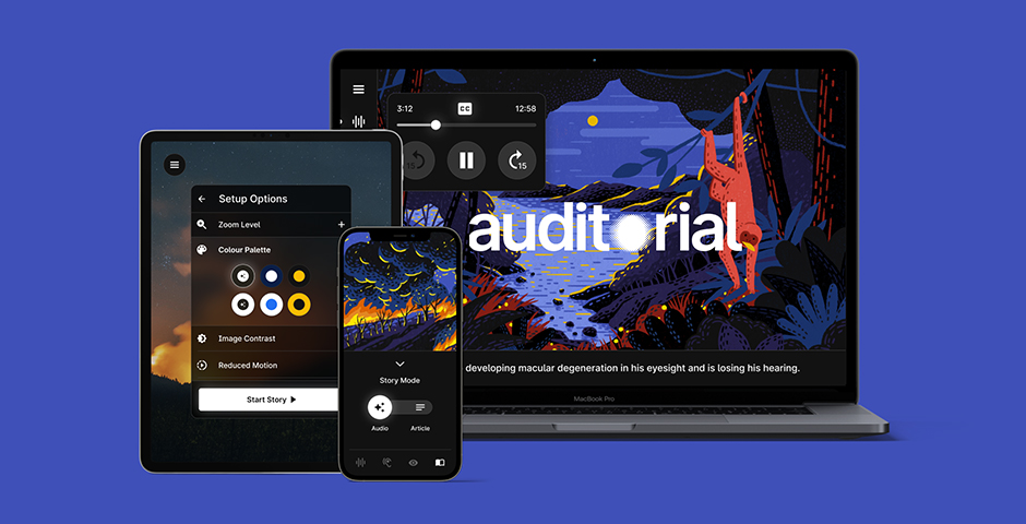 Screenshot of the entry for Google - Auditorial