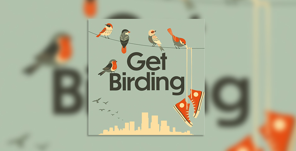 Screenshot of the entry for Get Birding