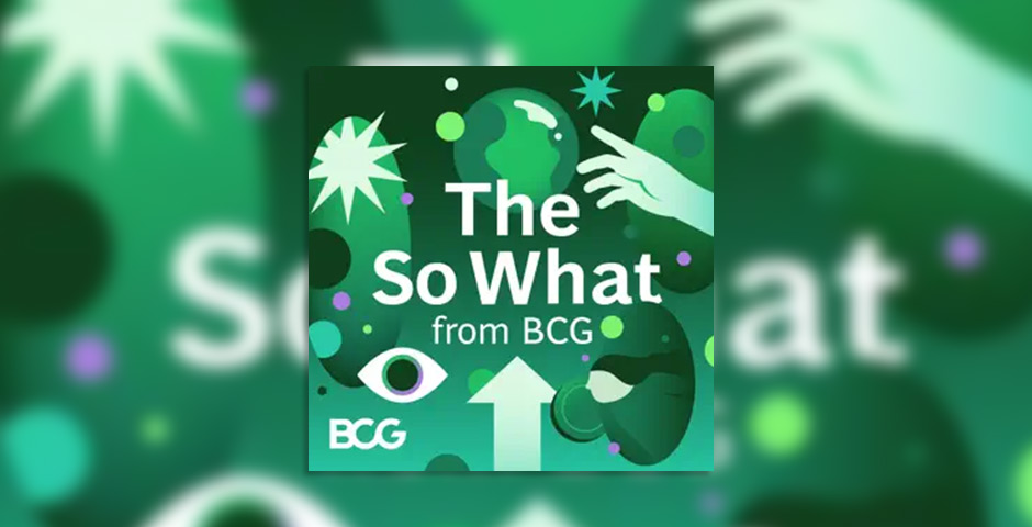 Screenshot of the entry for The So What from BCG