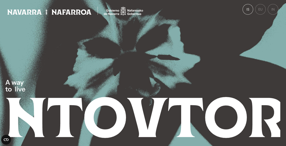 Screenshot of the entry for Marca Navarra