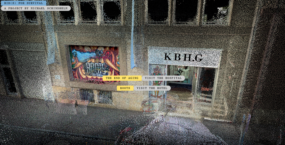 Screenshot of the entry for Bid(s) for survival