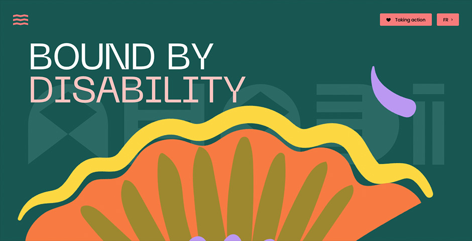 Screenshot of the entry for Ahadi Foundation