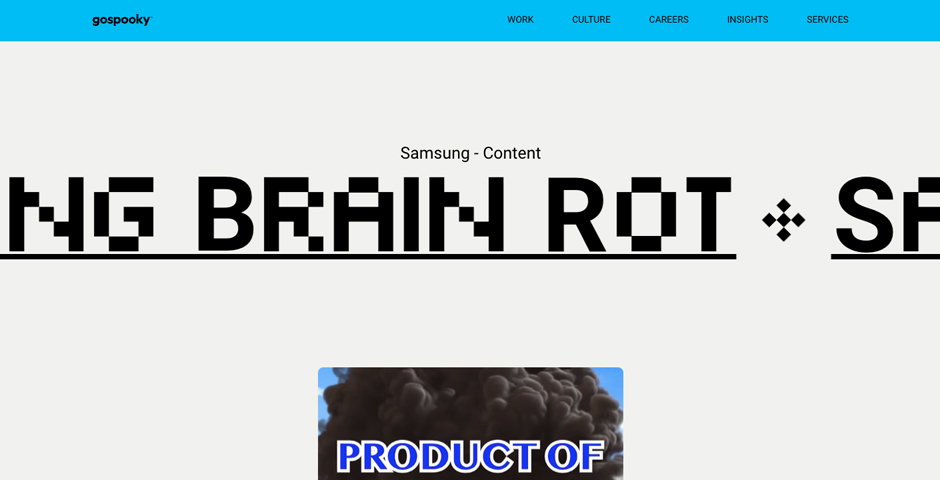 Screenshot of the entry for Samsung Brain Rot
