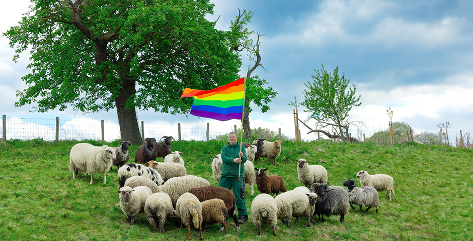 Screenshot of the entry for Rainbow Wool