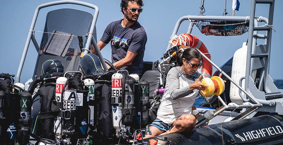 Screenshot of the entry for Call to Earth: Forests of the Deep