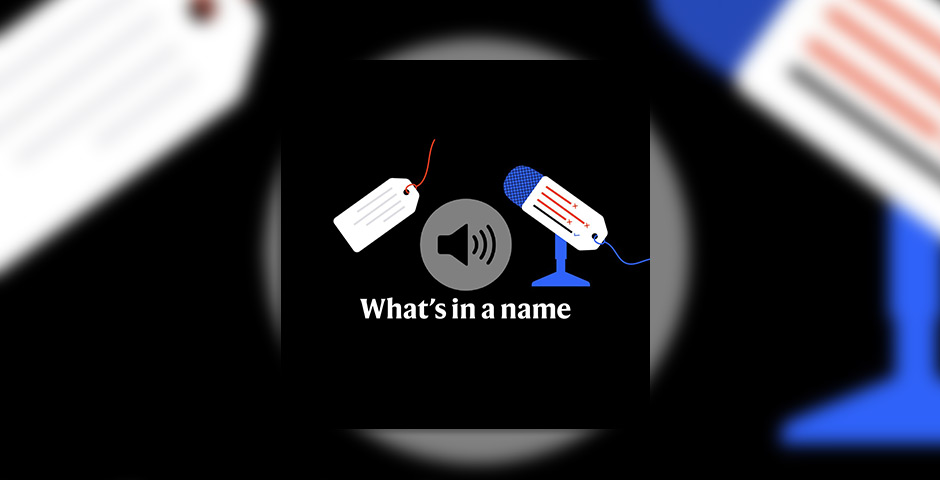 Screenshot of the entry for What's in a name