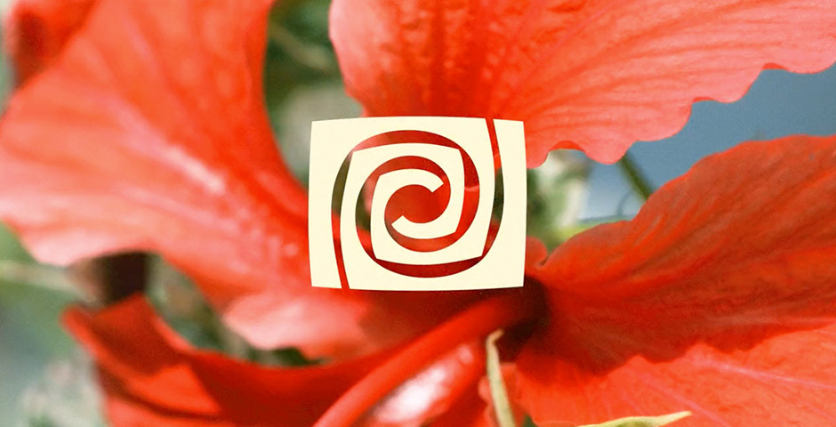 Screenshot of the entry for Reclaiming Our Atlantic Destiny