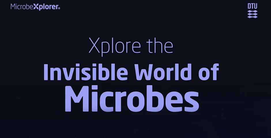 Screenshot of the entry for MicrobeXplorer