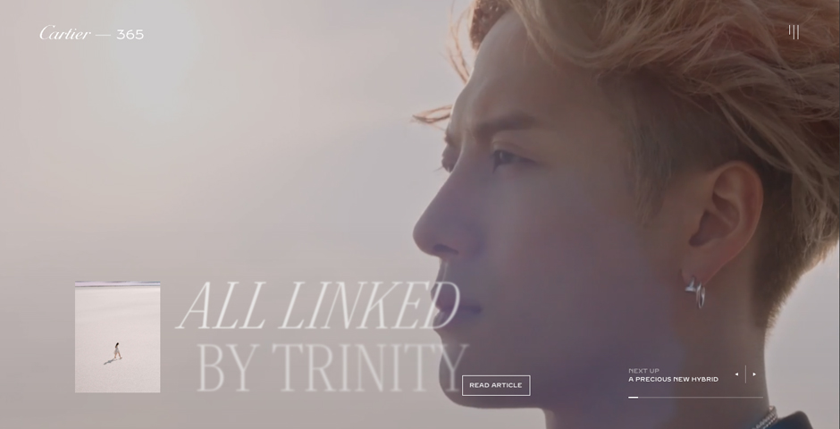 Screenshot of the entry for 365 - A year of Cartier