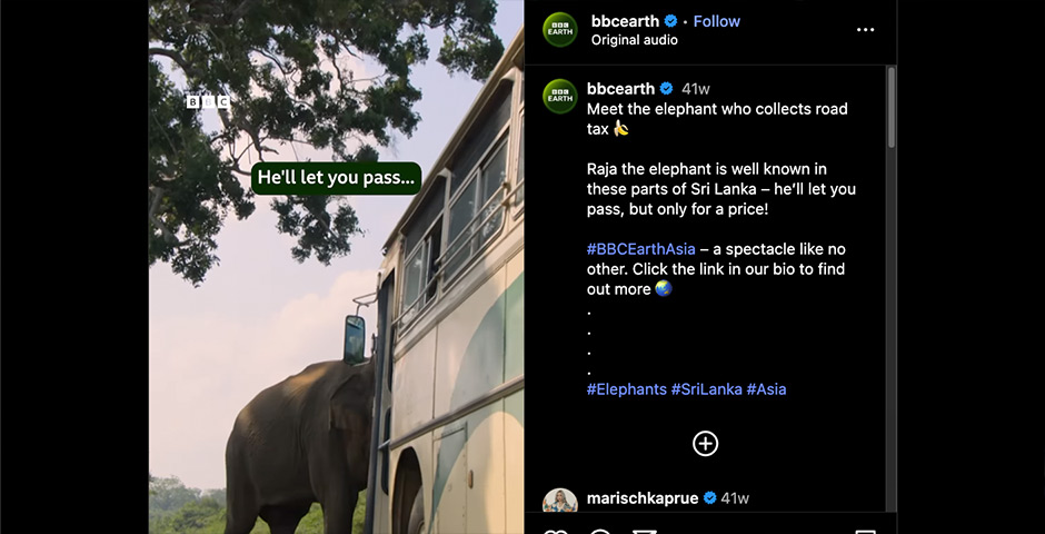 Screenshot of the entry for Asia