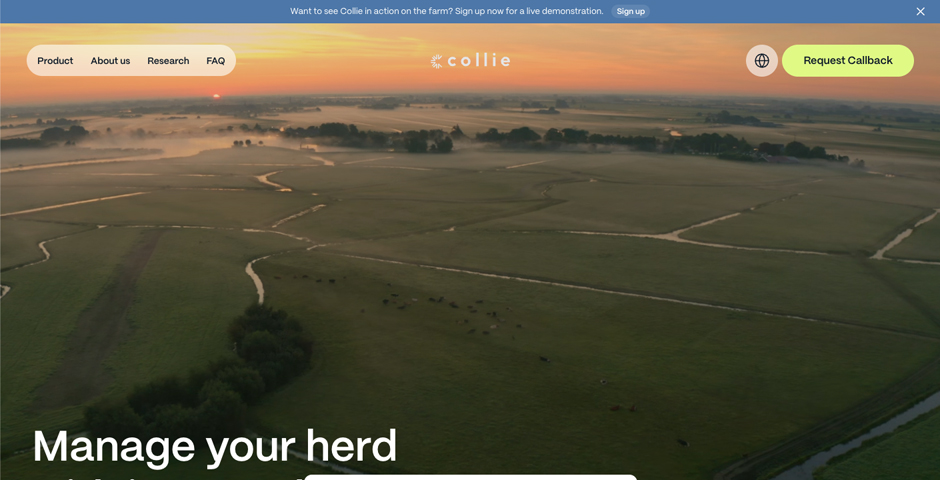 Screenshot of the entry for Collie Collar