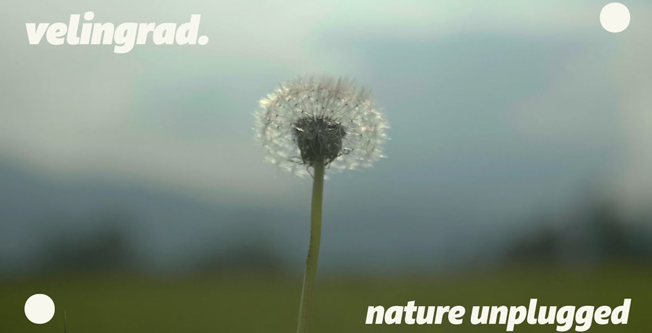 Screenshot of the entry for nature unplugged