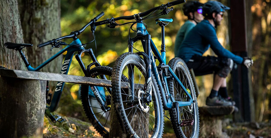 Screenshot of the entry for Canyon Bicycles