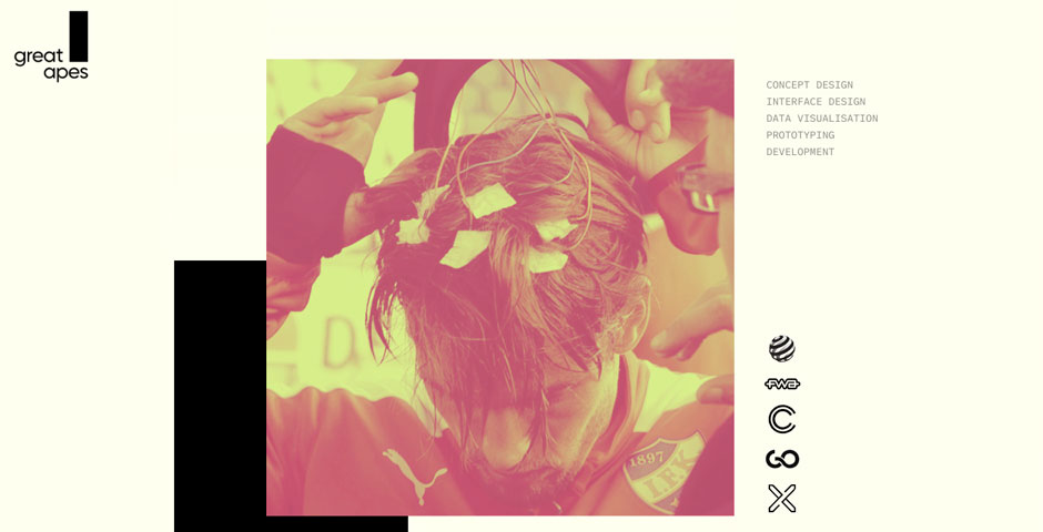 Screenshot of the entry for Great Apes 10.0